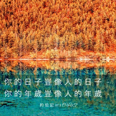 Picture 03 - 約 伯 記 10:5 CUVT - 你 的 日 子 豈 像 人 的 日 子 ， 你 - Bible Verse Picture