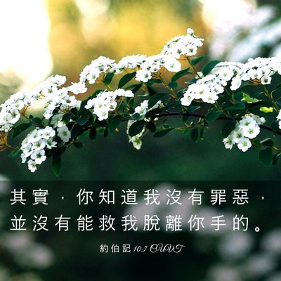 Picture 03 - 約 伯 記 10:7 CUVT - 其 實 ， 你 知 道 我 沒 有 罪 惡 ， - Bible Verse Picture