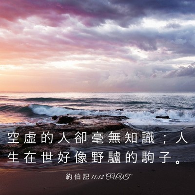 Picture 03 - 約 伯 記 11:12 CUVT - 空 虛 的 人 卻 毫 無 知 識 ； 人 生 - Bible Verse Picture