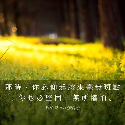 Picture 03 - 約 伯 記 11:15 CUVT - 那 時 ， 你 必 仰 起 臉 來 毫 無 斑 - Bible Verse Picture