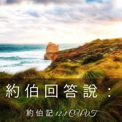 Picture 03 - 約 伯 記 12:1 CUVT - 約 伯 回 答 說 - Bible Verse Picture
