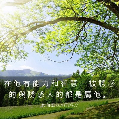 Picture 03 - 約 伯 記 12:16 CUVT - 在 他 有 能 力 和 智 慧 ， 被 誘 惑 - Bible Verse Picture