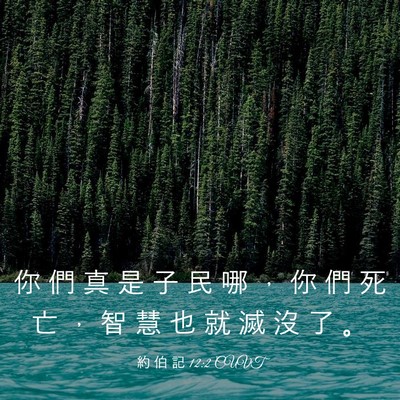 Picture 03 - 約 伯 記 12:2 CUVT - 你 們 真 是 子 民 哪 ， 你 們 死 亡 - Bible Verse Picture