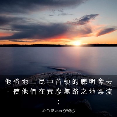 Picture 03 - 約 伯 記 12:24 CUVT - 他 將 地 上 民 中 首 領 的 聰 明 奪 - Bible Verse Picture