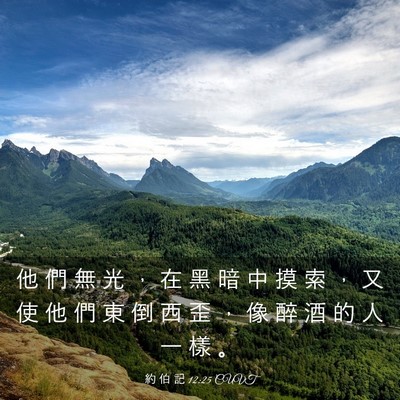 Picture 03 - 約 伯 記 12:25 CUVT - 他 們 無 光 ， 在 黑 暗 中 摸 索 ， - Bible Verse Picture