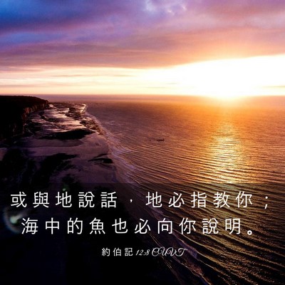Picture 03 - 約 伯 記 12:8 CUVT - 或 與 地 說 話 ， 地 必 指 教 你 ； - Bible Verse Picture