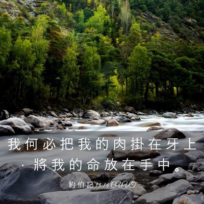 Picture 03 - 約 伯 記 13:14 CUVT - 我 何 必 把 我 的 肉 掛 在 牙 上 ， - Bible Verse Picture