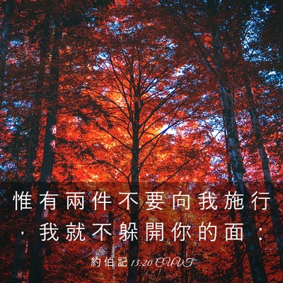 Picture 03 - 約 伯 記 13:20 CUVT - 惟 有 兩 件 不 要 向 我 施 行 ， 我 - Bible Verse Picture