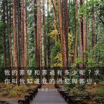 Picture 03 - 約 伯 記 13:23 CUVT - 我 的 罪 孽 和 罪 過 有 多 少 呢 ？ - Bible Verse Picture