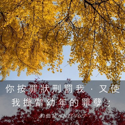 Picture 03 - 約 伯 記 13:26 CUVT - 你 按 罪 狀 刑 罰 我 ， 又 使 我 擔 - Bible Verse Picture