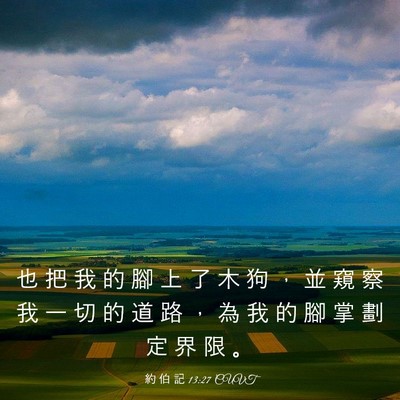 Picture 03 - 約 伯 記 13:27 CUVT - 也 把 我 的 腳 上 了 木 狗 ， 並 窺 - Bible Verse Picture