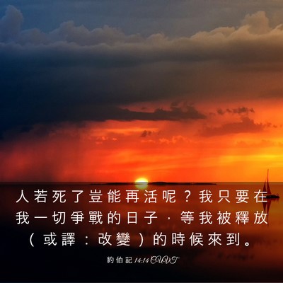 Picture 03 - 約 伯 記 14:14 CUVT - 人 若 死 了 豈 能 再 活 呢 ？ 我 只 - Bible Verse Picture