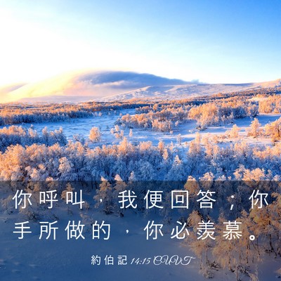 Picture 03 - 約 伯 記 14:15 CUVT - 你 呼 叫 ， 我 便 回 答 ； 你 手 所 - Bible Verse Picture