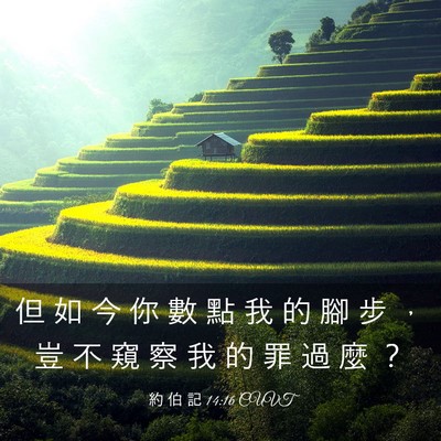 Picture 03 - 約 伯 記 14:16 CUVT - 但 如 今 你 數 點 我 的 腳 步 ， 豈 - Bible Verse Picture