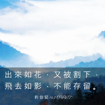 Picture 03 - 約 伯 記 14:2 CUVT - 出 來 如 花 ， 又 被 割 下 ， 飛 去 - Bible Verse Picture