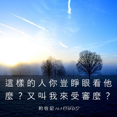 Picture 03 - 約 伯 記 14:3 CUVT - 這 樣 的 人 你 豈 睜 眼 看 他 麼 ？ - Bible Verse Picture