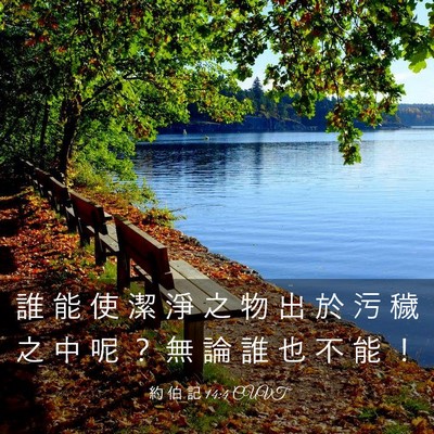 Picture 03 - 約 伯 記 14:4 CUVT - 誰 能 使 潔 淨 之 物 出 於 污 穢 之 - Bible Verse Picture