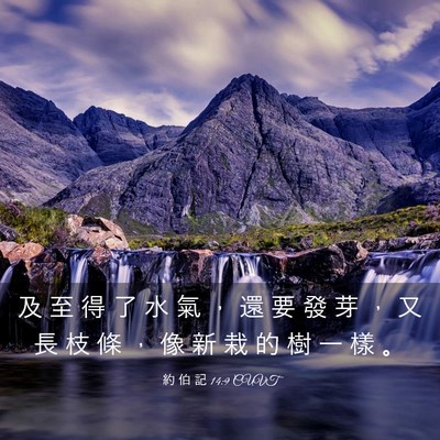 Picture 03 - 約 伯 記 14:9 CUVT - 及 至 得 了 水 氣 ， 還 要 發 芽 ， - Bible Verse Picture