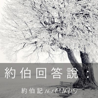 Picture 03 - 約 伯 記 16:1 CUVT - 約 伯 回 答 說 - Bible Verse Picture