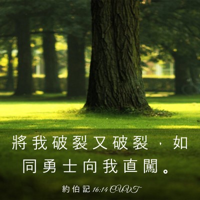 Picture 03 - 約 伯 記 16:14 CUVT - 將 我 破 裂 又 破 裂 ， 如 同 勇 士 - Bible Verse Picture
