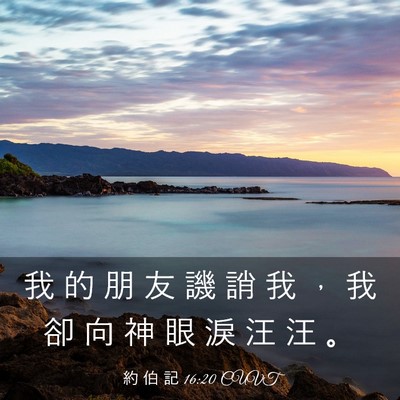 Picture 03 - 約 伯 記 16:20 CUVT - 我 的 朋 友 譏 誚 我 ， 我 卻 向 神 - Bible Verse Picture