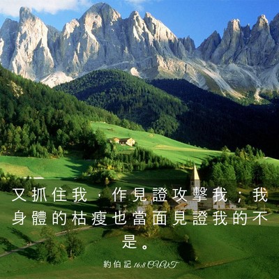 Picture 03 - 約 伯 記 16:8 CUVT - 又 抓 住 我 ， 作 見 證 攻 擊 我 ； - Bible Verse Picture