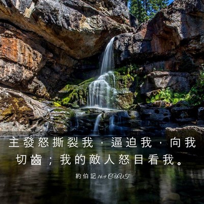 Picture 03 - 約 伯 記 16:9 CUVT - 主 發 怒 撕 裂 我 ， 逼 迫 我 ， 向 - Bible Verse Picture