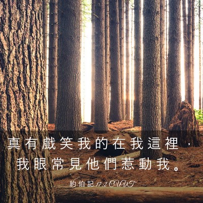 Picture 03 - 約 伯 記 17:2 CUVT - 真 有 戲 笑 我 的 在 我 這 裡 ， 我 - Bible Verse Picture
