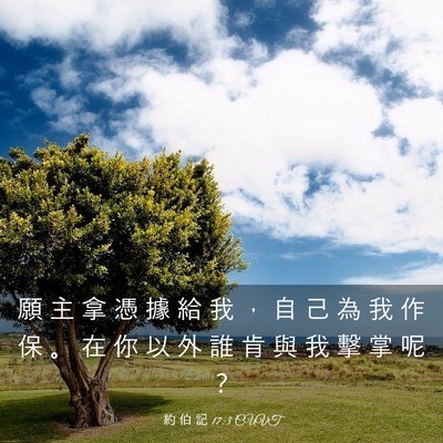 Picture 03 - 約 伯 記 17:3 CUVT - 願 主 拿 憑 據 給 我 ， 自 己 為 我 - Bible Verse Picture
