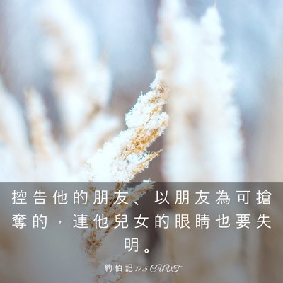 Picture 03 - 約 伯 記 17:5 CUVT - 控 告 他 的 朋 友 、 以 朋 友 為 可 - Bible Verse Picture