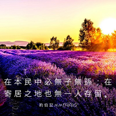 Picture 03 - 約 伯 記 18:19 CUVT - 在 本 民 中 必 無 子 無 孫 ； 在 寄 - Bible Verse Picture