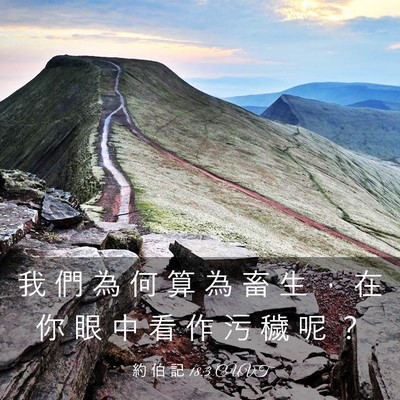 Picture 03 - 約 伯 記 18:3 CUVT - 我 們 為 何 算 為 畜 生 ， 在 你 眼 - Bible Verse Picture