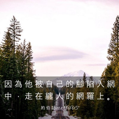 Picture 03 - 約 伯 記 18:8 CUVT - 因 為 他 被 自 己 的 腳 陷 入 網 中 - Bible Verse Picture