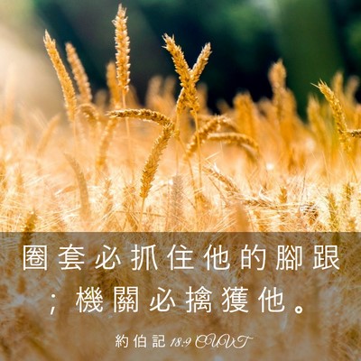 Picture 03 - 約 伯 記 18:9 CUVT - 圈 套 必 抓 住 他 的 腳 跟 ； 機 關 - Bible Verse Picture