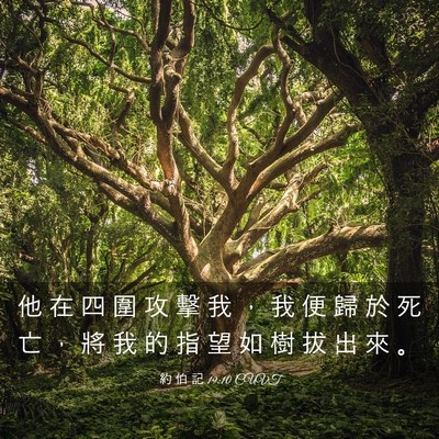 Picture 03 - 約 伯 記 19:10 CUVT - 他 在 四 圍 攻 擊 我 ， 我 便 歸 於 - Bible Verse Picture