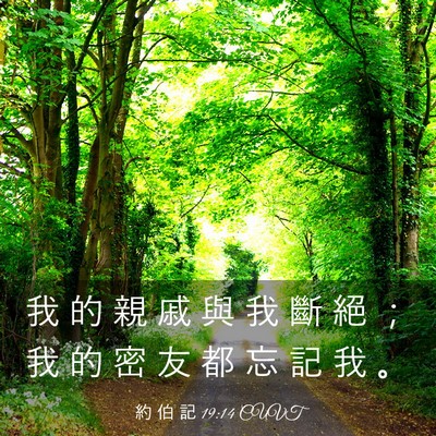 Picture 03 - 約 伯 記 19:14 CUVT - 我 的 親 戚 與 我 斷 絕 ； 我 的 密 - Bible Verse Picture