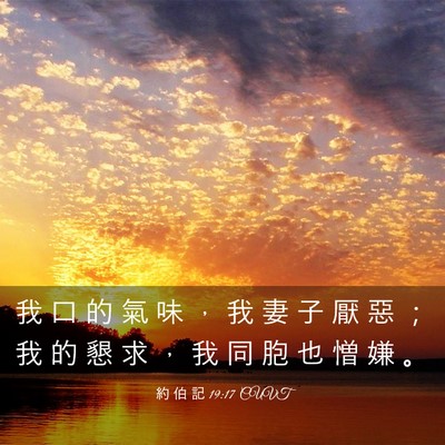 Picture 03 - 約 伯 記 19:17 CUVT - 我 口 的 氣 味 ， 我 妻 子 厭 惡 ； - Bible Verse Picture