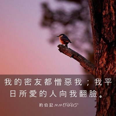 Picture 03 - 約 伯 記 19:19 CUVT - 我 的 密 友 都 憎 惡 我 ； 我 平 日 - Bible Verse Picture