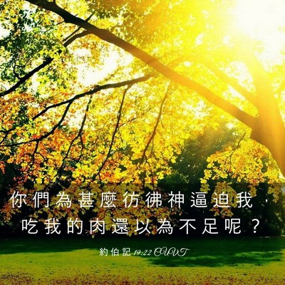 Picture 03 - 約 伯 記 19:22 CUVT - 你 們 為 甚 麼 彷 彿 神 逼 迫 我 ， - Bible Verse Picture