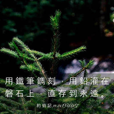Picture 03 - 約 伯 記 19:24 CUVT - 用 鐵 筆 鐫 刻 ， 用 鉛 灌 在 磐 石 - Bible Verse Picture