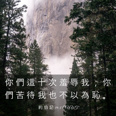 Picture 03 - 約 伯 記 19:3 CUVT - 你 們 這 十 次 羞 辱 我 ； 你 們 苦 - Bible Verse Picture