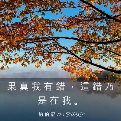 Picture 03 - 約 伯 記 19:4 CUVT - 果 真 我 有 錯 ， 這 錯 乃 是 在 我 - Bible Verse Picture