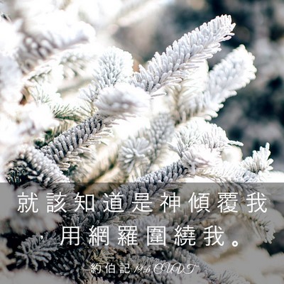 Picture 03 - 約 伯 記 19:6 CUVT - 就 該 知 道 是 神 傾 覆 我 ， 用 網 - Bible Verse Picture