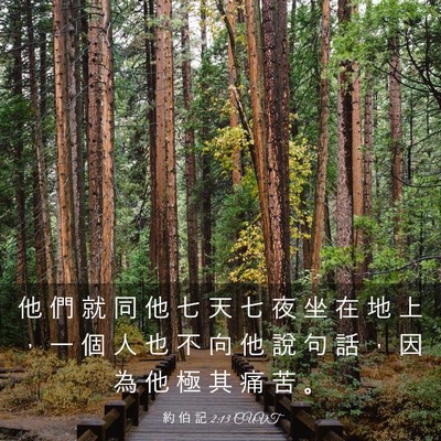 Picture 03 - 約 伯 記 2:13 CUVT - 他 們 就 同 他 七 天 七 夜 坐 在 地 - Bible Verse Picture