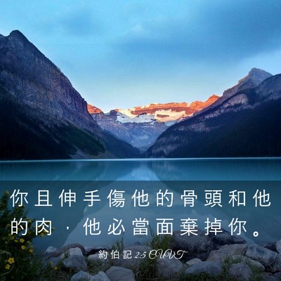 Picture 03 - 約 伯 記 2:5 CUVT - 你 且 伸 手 傷 他 的 骨 頭 和 他 的 - Bible Verse Picture