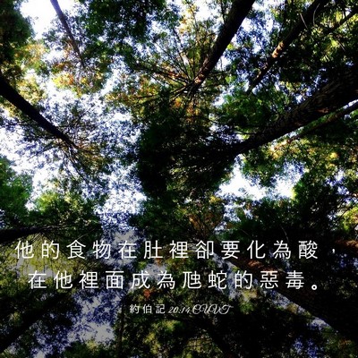 Picture 03 - 約 伯 記 20:14 CUVT - 他 的 食 物 在 肚 裡 卻 要 化 為 酸 - Bible Verse Picture