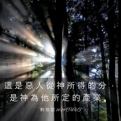 Picture 03 - 約 伯 記 20:29 CUVT - 這 是 惡 人 從 神 所 得 的 分 ， 是 - Bible Verse Picture