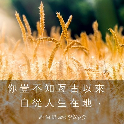 Picture 03 - 約 伯 記 20:4 CUVT - 你 豈 不 知 亙 古 以 來 ， 自 從 人 - Bible Verse Picture