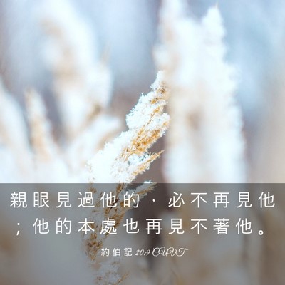 Picture 03 - 約 伯 記 20:9 CUVT - 親 眼 見 過 他 的 ， 必 不 再 見 他 - Bible Verse Picture