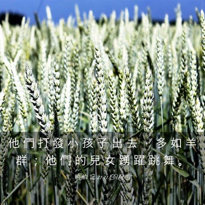 Picture 03 - 約 伯 記 21:11 CUVT - 他 們 打 發 小 孩 子 出 去 ， 多 如 - Bible Verse Picture